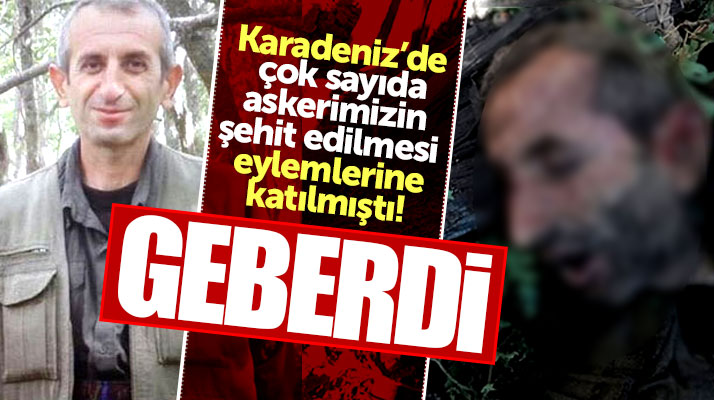 Karadeniz'de askerlerimizi şehit eden terörist Tunceli'de öldürüldü
