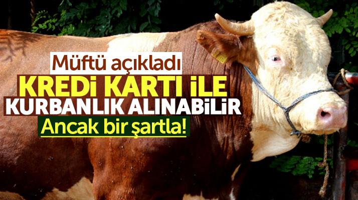 Müftülük açıkladı! Kredi kartı ya da banka kredisi ile kurban kesilir mi?