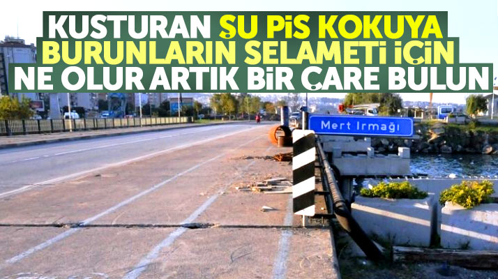 Samsun'da Mert Irmağından yayılan pis koku baygınlık geçirtiyor!