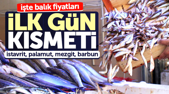 Samsun'da balıkçılar ilk gün Karadeniz'de bol bol balık avladı