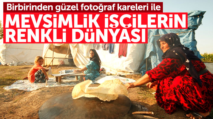 Samsun Çarşamba'da mevsimlik işçilerin renkli dünyasından fotoğraf kareleri