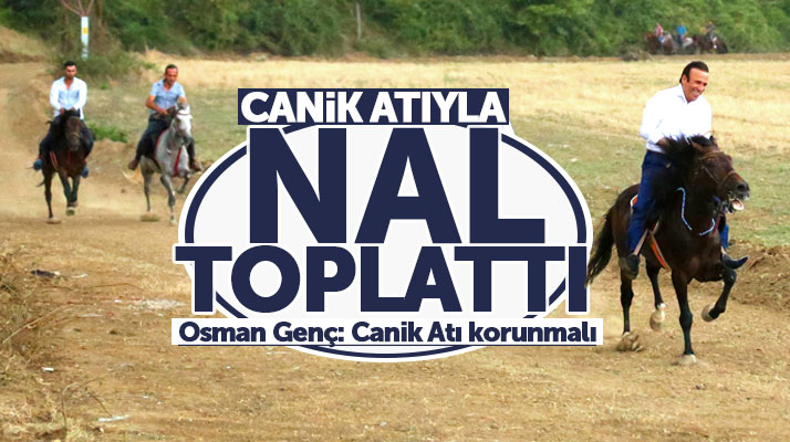 Samsun'da Canik Belediye Başkanı Osman Genç, Canik atına binip yarıştı