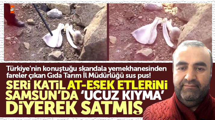 Samsun Gıda Tarım İl Müdürlüğü at eşek eti skandalına sessiz kaldı