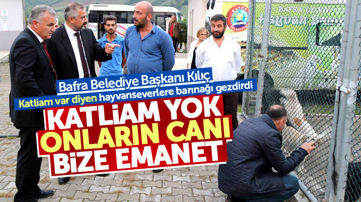 Bafra Belediyesi Başkanı Hamit Kılıç: Hayvan Barınağında katliam yok