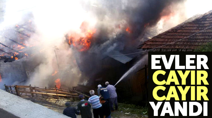 Samsun Vezirköprü'de Kızılkese köyünde yangın çıktı 6 ev cayır cayır yandı