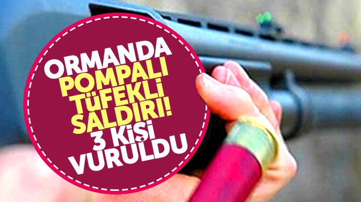 Samsun Vezirköprü'de ormanda piknik yapan 3 kişi pompalı tüfekli saldırıya uğradı