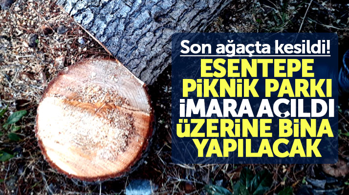 Samsun Atakum'da imara açılan Esentepe Piknik Parkında ağaçlar kesildi