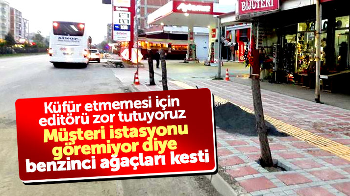 Samsun 19 Mayıs'ta benzin istasyonu işletmecisinin ağaçları kestirmesine tepki yağdı