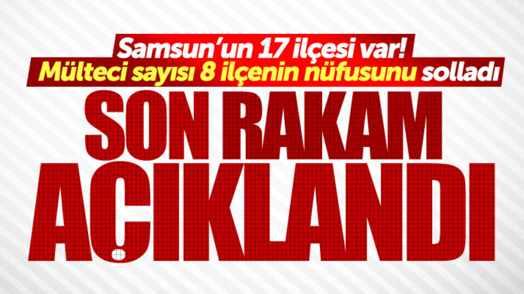 Samsun'da bulunan mülteci sayısının 30 bin olduğu açıklandı