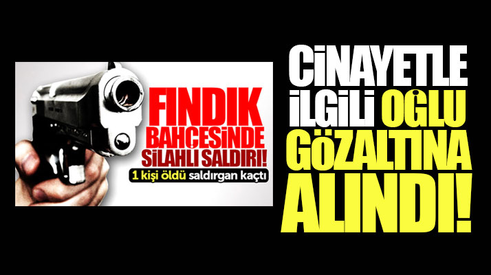 Samsun'da fındık bahçesindeki cinayetle ilgili ölen adamın oğlu gözaltına alındı