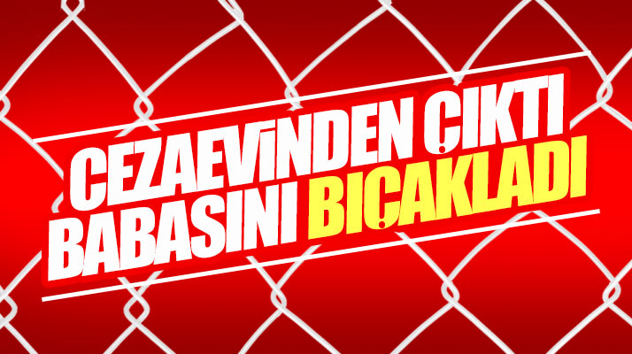 Samsun'da cezaevinden çıkan genç evde kavga ettiği babasını bıçakladı