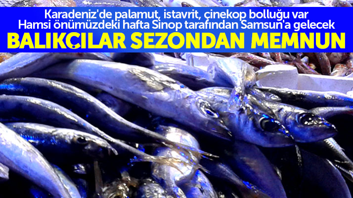 Samsunlu balıkçılar sezondan memnun Karadeniz'de bolluk var