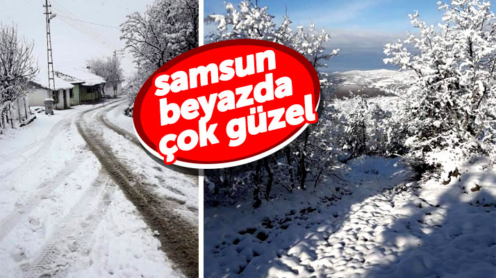 Samsun'un Havza ilçesinde yağan kar güzel manzaralar oluşturdu