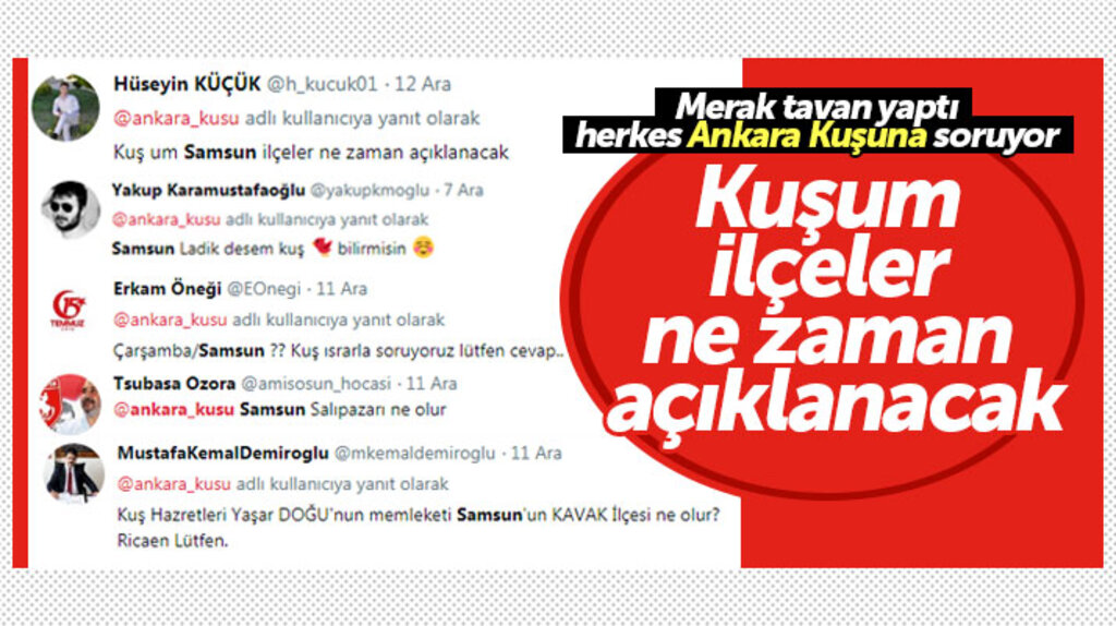 AK Parti'nin Samsun'da İlçe Belediye Başkan adayları kim olacak herkes Ankara Kuşu'na soruyor