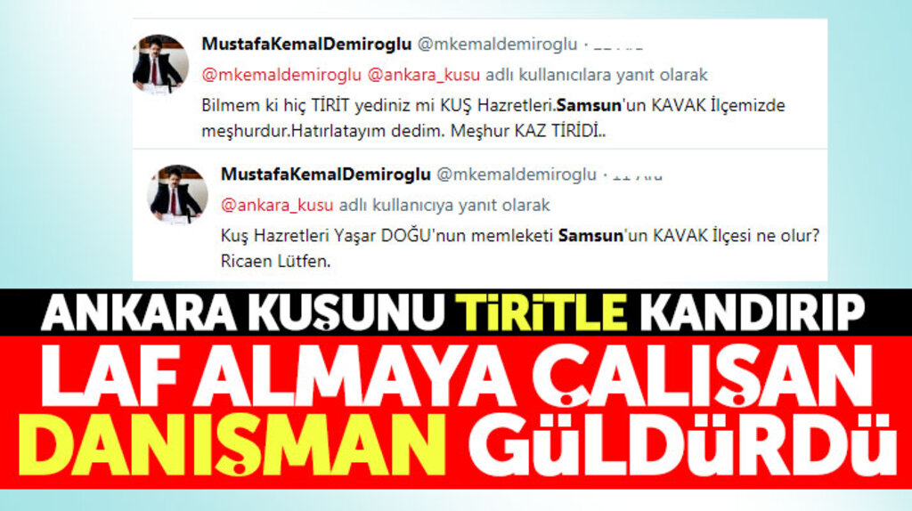 Kavak Belediyesi Basın Danışmanı Ankara Kuşunu tirit ile kandırıp aday ismini öğrenmeye çalıştı