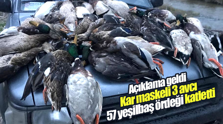 Samsun-Kuş Cennetinde 57 yeşilbaş ördeğin avcılar tarafından katledildiği açıklandı