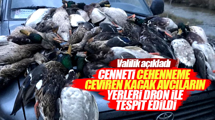Samsun'da ördek katliamı yapan kaçak avcıların yerleri dron ile tespit edildi
