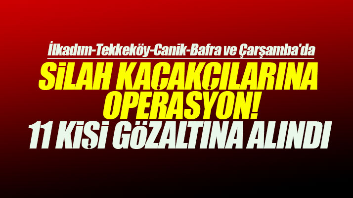 Samsun ve 5 ilçede silah kaçakçılarına yapılan operasyonda 11 kişi gözaltına alındı