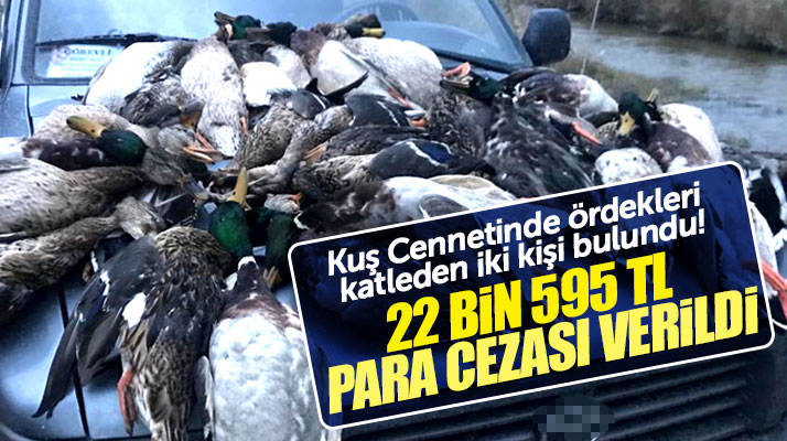 Samsun'da 57 yeşilbaş ördeği katleden iki avcıya 22 bin 595 TL para cezası verildi