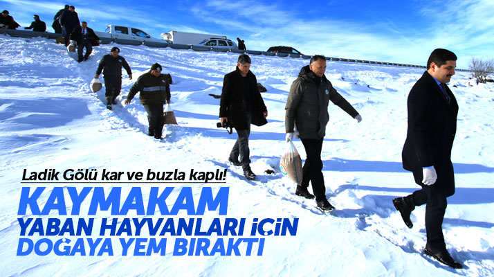Samsun Ladik ilçesinde yaban hayvanları için doğaya yem bırakıldı