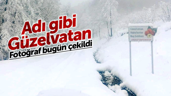 Samsun'un Salıpazarı ilçesi Güzelvatan mahallesinden kar manzaraları