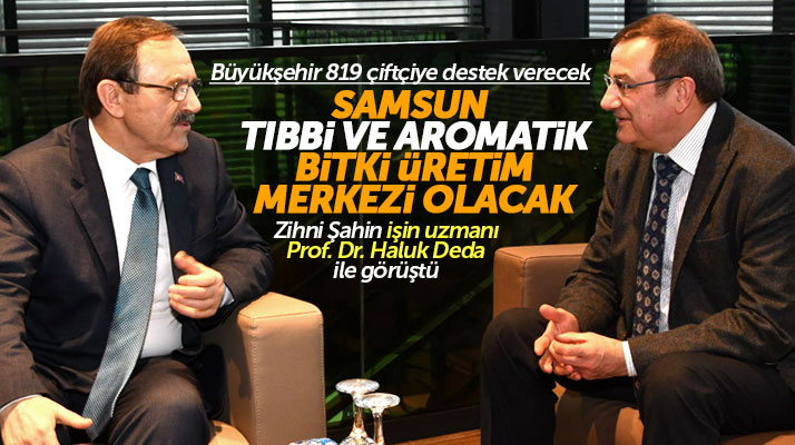 Samsun tıbbi ve aromatik bitki üretim merkezi olacak, büyükşehir destek verecek