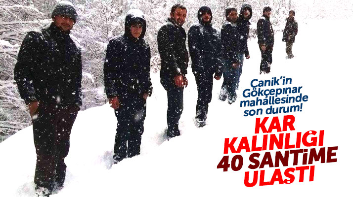 Samsun'un Canik ilçesi Gökçepınar mahallesinde kar yaşamı felç etti