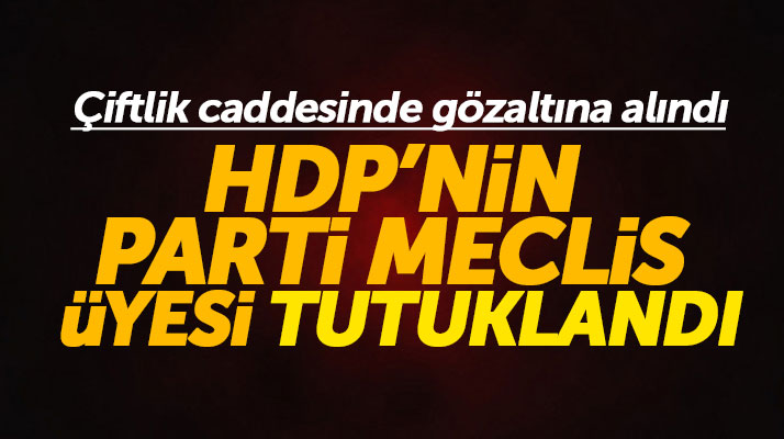 Samsun'da HDP'nin Parti Meclisi üyesi Çiftlik caddesinde gözaltına alınıp tutuklandı