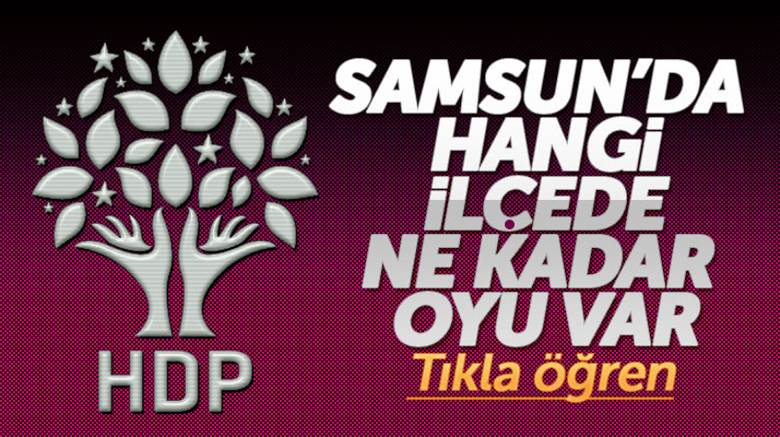 Samsun'da HDP'nin hangi ilçede kaç oyu var