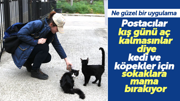 Samsun'da PTT çalışanları kedi ve köpekler için sokaklara mama bırakıyor
