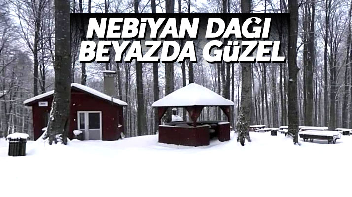 Samsun'un 19 Mayıs ilçesinde Nebiyan Dağı, yağan kar ile beyaza büründü
