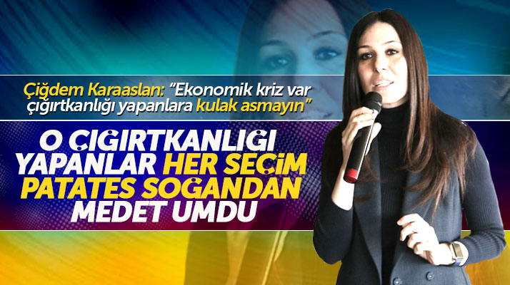 Çiğdem Karaaslan: Ekonomik kriz çığırtkanlığı yapanlar patates soğandan medet umdu