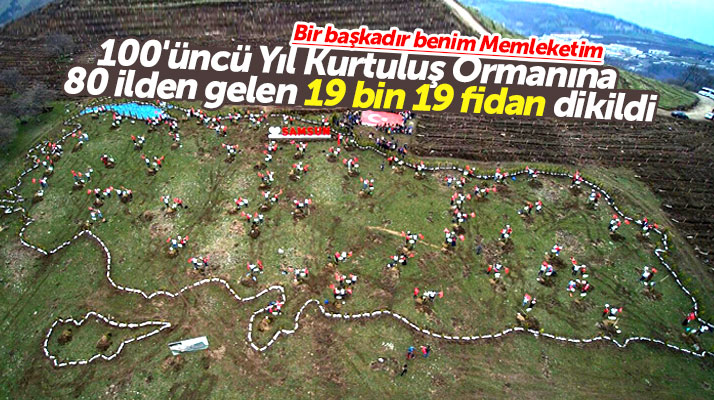 Samsun'da 100'üncü yıl Kurtuluş Ormanına 19 bin 19 fidan dikildi