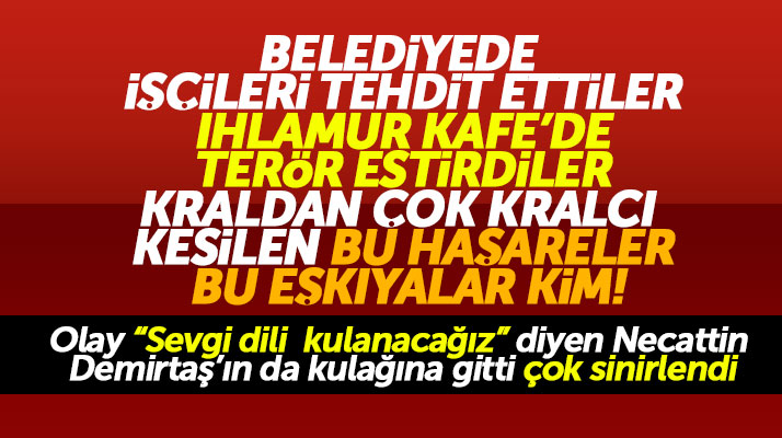 İlkadım Belediyesi ve Ihlamur Kafe'de terör estirenlere Necattin Demirtaş çok sinirlendi