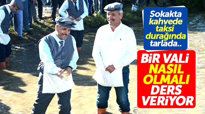 Samsun Valisi Osman Kaymak, beline tohum önlüğü takıp Bafra Ovasına çeltik tohumu attı