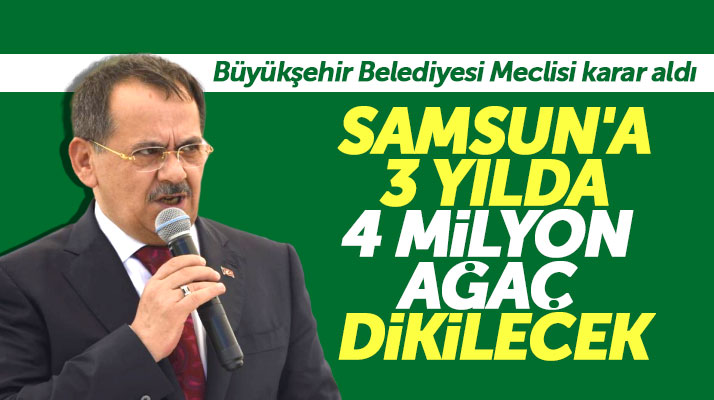 Mustafa Demir açıkladı: Samsun'a 3 yıl içinde 4 milyon ağaç dikimi hedefleniyor