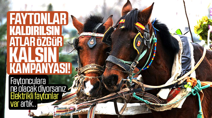 Samsun'da atlı faytonların kaldırılması için imza kampanyası başlatıldı