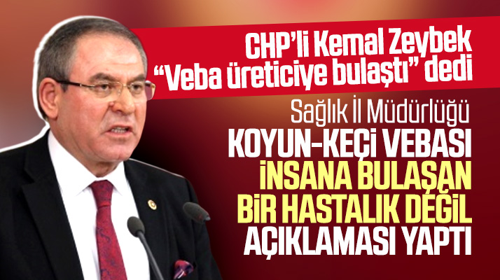 Samsun Sağlık İl Müdürlüğü koyun vebası çiftçiye bulaştı iddiasına açıklama yaptı