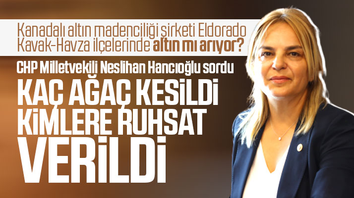 CHP Samsun Milletvekili Hancıoğlu altın arandığı iddialarını meclis gündemine taşıdı