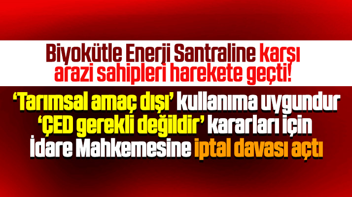Samsun'da Çarşamba'ya yapılacak Biyokütle Enerji Santraline karşı dava açıldı