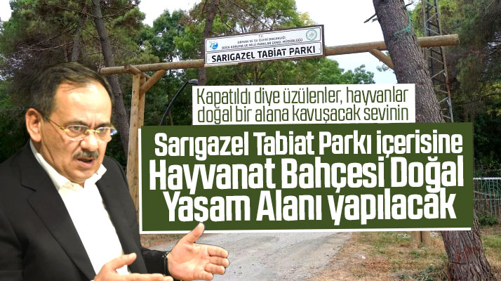 Samsun'da Sarıgazel Tabiat Parkı içinde Hayvanat Bahçesi Doğal Yaşam Alanı yapılacak