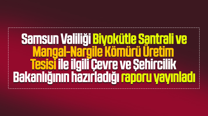 Samsun Valiliği biyokütle santrali ile ilgili Çevre Bakanlığının raporunu yayınladı