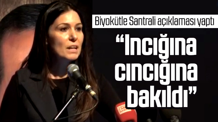 Çiğdem Karaaslan'dan Biyokütle Santrali açıklaması! Incığına cıncığına bakıldı