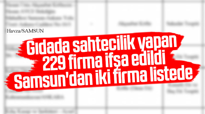 Gıdada sahtecilik yapan 229 firma listesinde Samsun'dan iki firma yer aldı