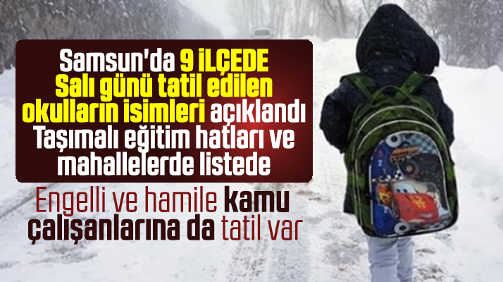 Samsun'da 9 ilçede Salı günü kar nedeniyle tatil edilen okulların listesi