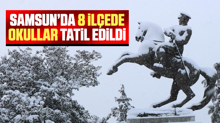 Samsun'da 12 Şubat 2020 Çarşamba günü 8 ilçede okullara kar tatili verildi
