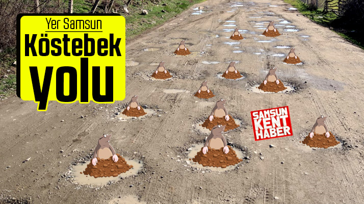 Alaçam ilçesinde Cırtlar sokağına giden yol yıllardır köstebek yuvası gibi