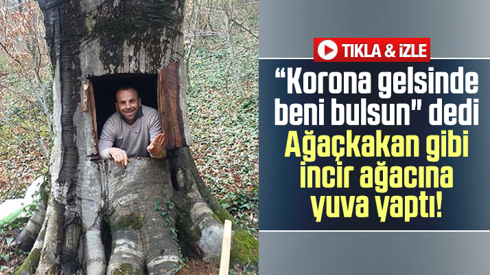 Samsun'da Korona Virüs'ten incir ağacının içine girerek saklanan vatandaş