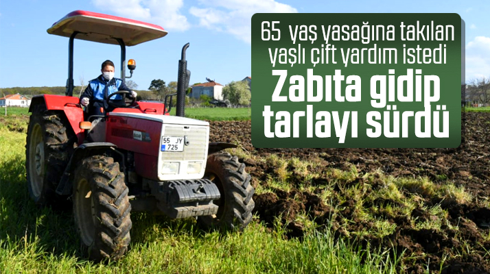 Samsun Büyükşehir Zabıtası Bafra'ya gitti yaşlı çiftin tarlasını sürdü