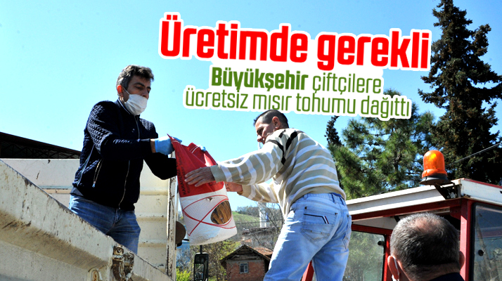Samsun Büyükşehir Belediyesi çiftçilere ücretsiz mısır tohumu dağıttı
